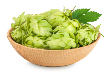 Hop cones in wooden bowl isolated on white background. Beer brewing ingredients