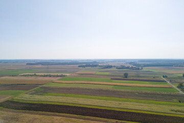 Aerial view of agricultural fields showing different cultivation practices, highlighting the contrast between various crops. Ideal for environmental and agricultural themes.