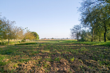 A serene landscape showing a freshly plowed field surrounded by trees under a clear blue sky, perfect for nature lovers and agricultural themes.