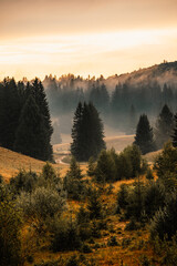 Plain with fog and trees on the meadow. Summer landscape from Poiana Brasov, ski resort, Romania