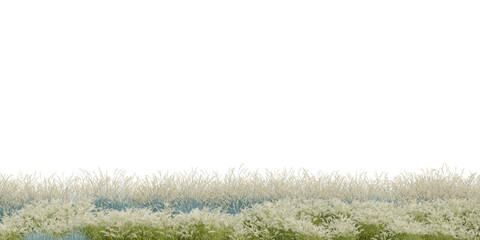 3D Rendering Grass and Plants PNG on Transparent Background	