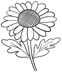 illustration of a flower