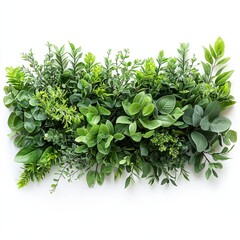 Obraz premium Lush Green Botanical Shrubs for Design and Decoration