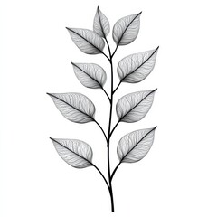 Graceful Line Art of Botanical Leaves in Black and White