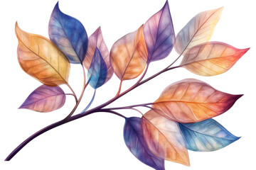 Fototapeta premium Colorful leaves branch design with shades of purple, orange, and blue, isolated on a white background.