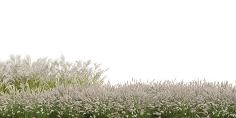 Fototapeta premium 3D Rendering Grass and Plants PNG on Transparent Background 