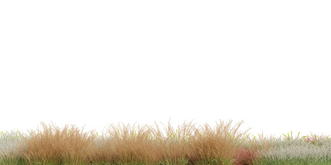 3D Rendering Grass and Plants PNG on Transparent Background	