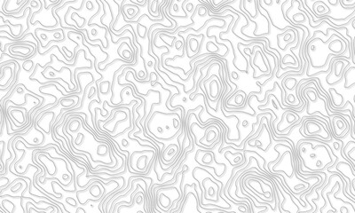 Vector topographic map background. Business concept. Abstract vector illustration.