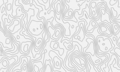 Vector topographic map background. Business concept. Abstract vector illustration.