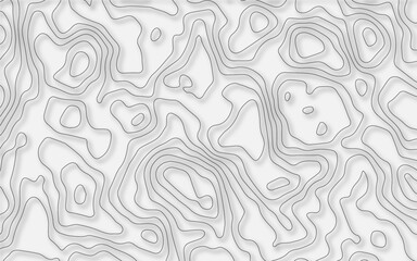 Vector topographic map background. Business concept. Abstract vector illustration.