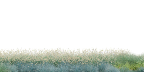 3D Rendering Grass and Plants PNG on Transparent Background