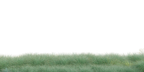 3D Rendering Grass and Plants PNG on Transparent Background
