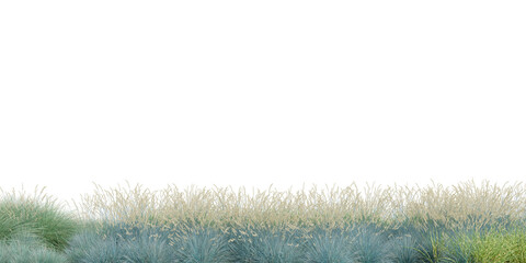 3D Rendering Grass and Plants PNG on Transparent Background