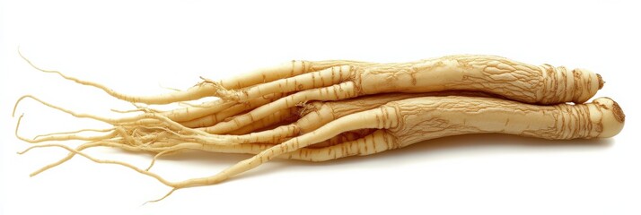 Ginseng Root Isolated on White Background. Organic Health Food and Medicine Concept