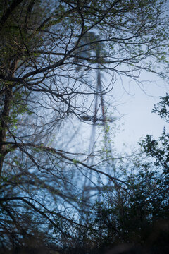 A creaking windmill behind a tree against pale blue sky  in the New Mexico ghost town of Folsom