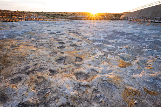 Petrified dinosaur tracks at sunrise at Clayton Lake State Park and Dinosaur Trackways, New Mexico