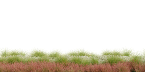 3D Rendering Grass and Plants PNG on Transparent Background