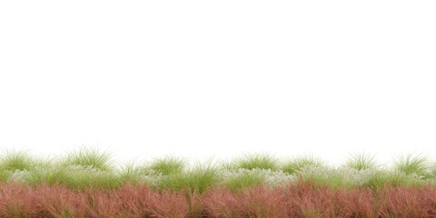 3D Rendering Grass and Plants PNG on Transparent Background