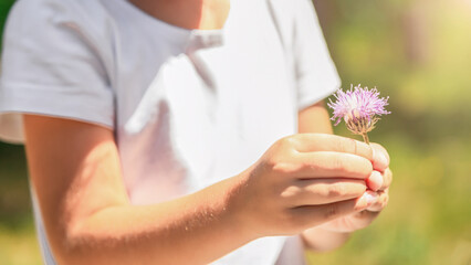 Child girl walking in park outdoor enjoying summer flowers family lifestyle vacations kid 4 years old. portrait little girl in harmony with nature