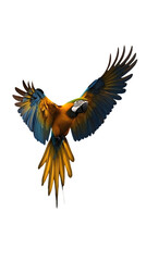 Obraz premium Blue-and-yellow Macaw Bird, Flying, on Transparent Background PNG, Wallpaper, Cover and Smartphone Screen, PC, Laptop, Graphic, Transparent PNG