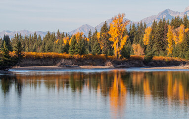 Scenic Autumn Landscape in Grand Teton National Park Wyoming
