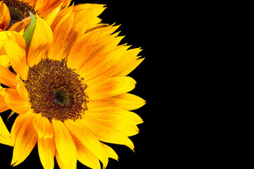 Fototapeta premium photo of beautiful flowers and candles on black background