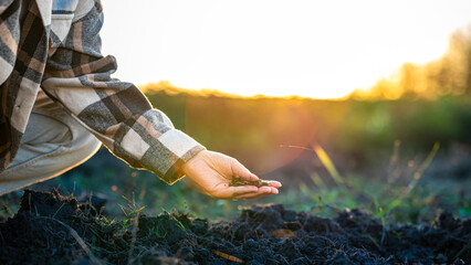 A Person in a Plaid Shirt Examines Soil While Kneeling in a Field at Sunset, Highlighting the...