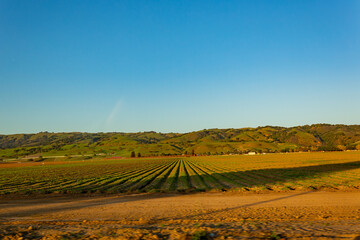 Sunny view of the rural landscape around Los Banos