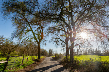 Sunny view of the landscape of San Luis Reservoir State Recreation Area