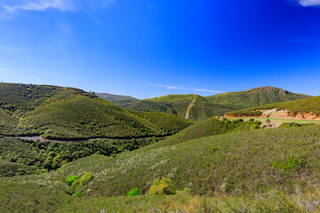 Fototapeta premium Sunny view of the landscape near Yosemite National Park