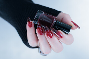 Female hands with long nails and black and red nail polish