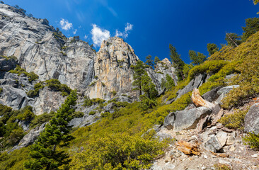 Sunny view of the landscape at Yosemite National Park