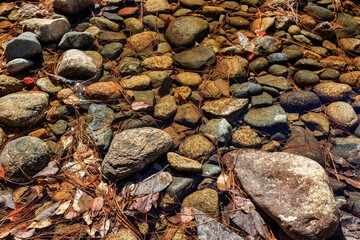 Sunny view of the river landscape in Yosemite National Park