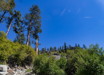 Sunny view of the landscape at Yosemite National Park