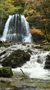 Vertical shot of a waterfall with colorful autumn trees, Josefsthaler Wasserf&auml;lle, Bavaria