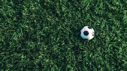 Obraz premium Soccer Ball on Green Grass Background