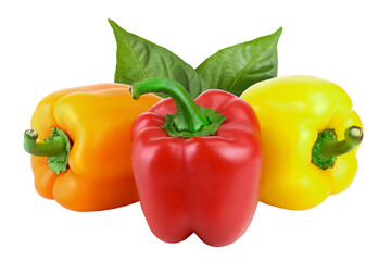 yellow orange and red sweet bell pepper isolated on white background