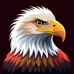 American bald eagle head vector