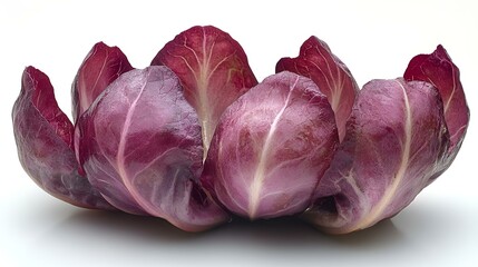 Fototapeta premium Vibrant Group of Purple Lettuce Heads.