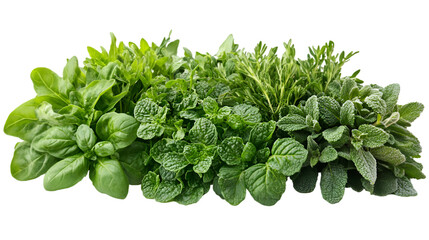 Obraz premium Vibrant Collection of Green Plants in Harmony.