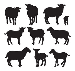 Sheep silhouette, vector illustration. Ideal for farm, livestock, and animal-themed designs.