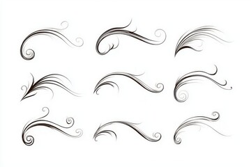 Fototapeta premium Calligraphy style Swirls, vintage Filigree Swirls, Flourishes Swirls, Text Ornaments, Curly Thin Line Swings Swashes, Text Divider, flourish Swirl ornament stroke, Scroll Design