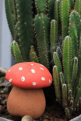 Mushroom and Cactus