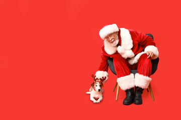 Santa Claus with cute Jack Russell Terrier dog in reindeer horns on red background