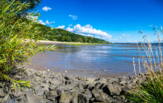 Panoramic view through lush greenery at Falkensteiner Ufer over Elbe river toward Hamburg container terminals, showcasing a sandy shore and rocky groynes on a summer day, ideal for tourism and travel.