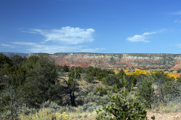 Roadside view of northwestern New Mexico’s colorful autumn landscape