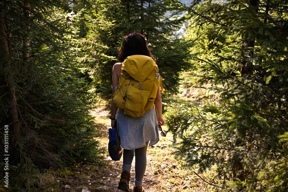 Sticker Young hiker with backpack walking in forest, back view