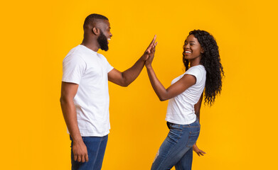 Obraz premium Joyful African American Guy And Girl Greeting Each Other With High Five