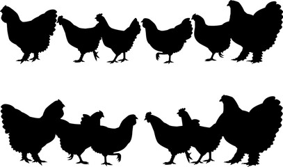chicken group and row