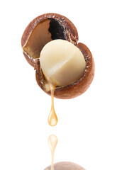 Macadamia nut and oil in air on white background